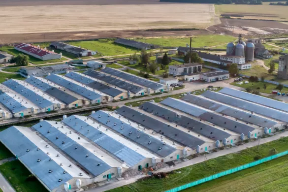 bovenaanzicht varkensboerderij